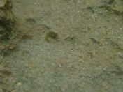 079.jpg - 2018:09:06 23:51:04