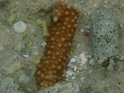 080.jpg - 2018:09:06 23:52:47