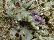 081.jpg - 2018:09:06 23:57:43