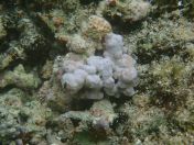 082.jpg - 2018:09:06 23:58:39