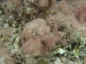 083.jpg - 2018:09:06 23:59:17