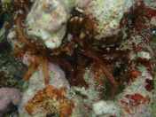 084.jpg - 2018:09:06 23:59:28