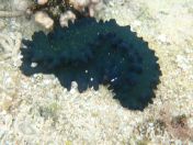 085.jpg - 2018:09:06 23:59:34