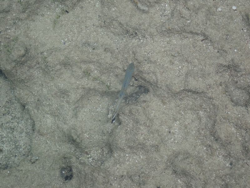 Viewing photos→2018→2018-09-04-2→086