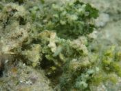 087.jpg - 2018:09:07 00:02:30