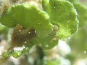 088.jpg - 2018:09:07 00:03:59