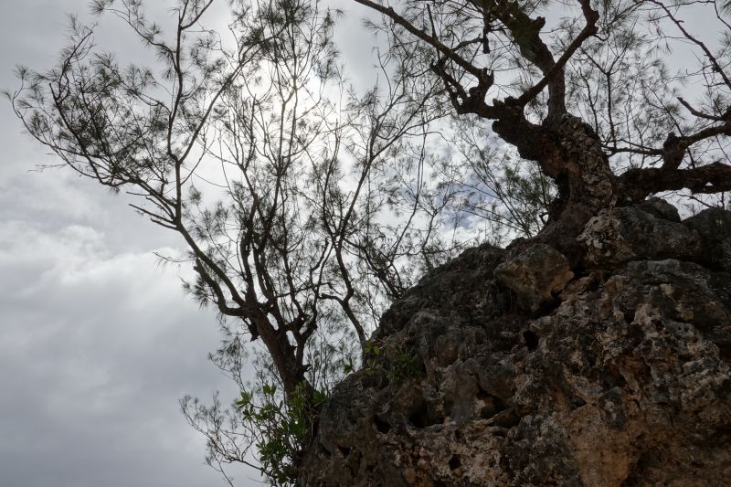 Viewing photos→2018→2018-09-04-2→096