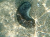 07.jpg - 2018:09:09 01:49:34