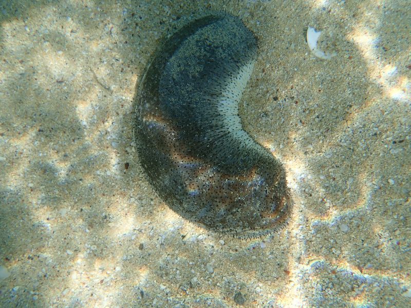 Viewing photos→2018→2018-09-09→07