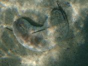 08.jpg - 2018:09:09 01:50:16