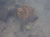 09.jpg - 2018:09:09 01:51:34