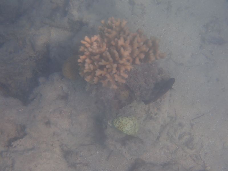 Viewing photos→2018→2018-09-09→09