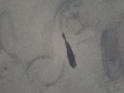 10.jpg - 2018:09:09 01:52:02