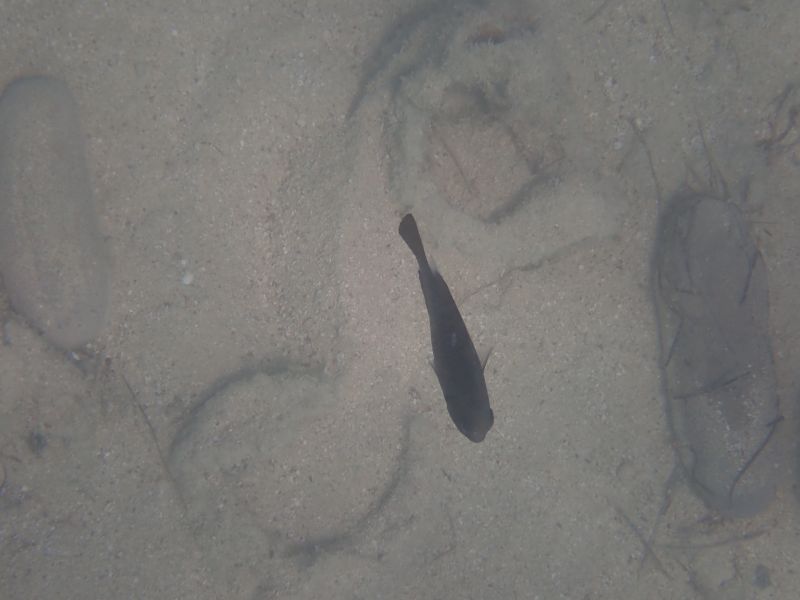 Viewing photos→2018→2018-09-09→10