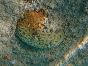 11.jpg - 2018:09:09 01:53:50