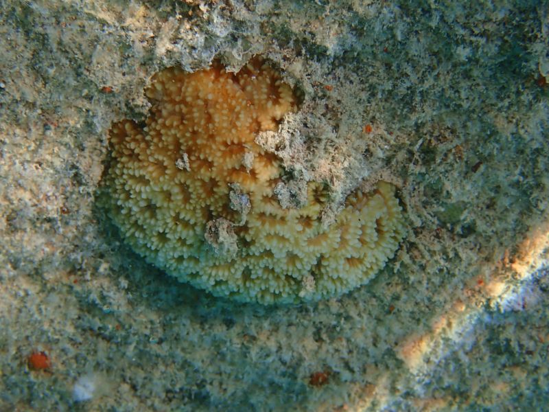 Viewing photos→2018→2018-09-09→11