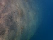 12.jpg - 2018:09:09 01:54:28