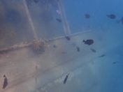 14.jpg - 2018:09:09 01:55:37