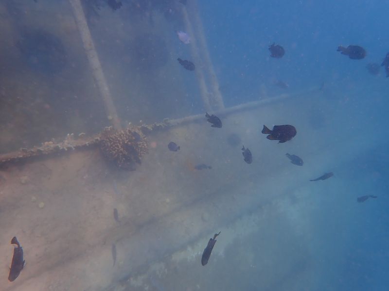 Viewing photos→2018→2018-09-09→14