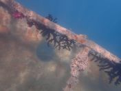 15.jpg - 2018:09:09 01:56:06