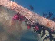 16.jpg - 2018:09:09 01:56:29