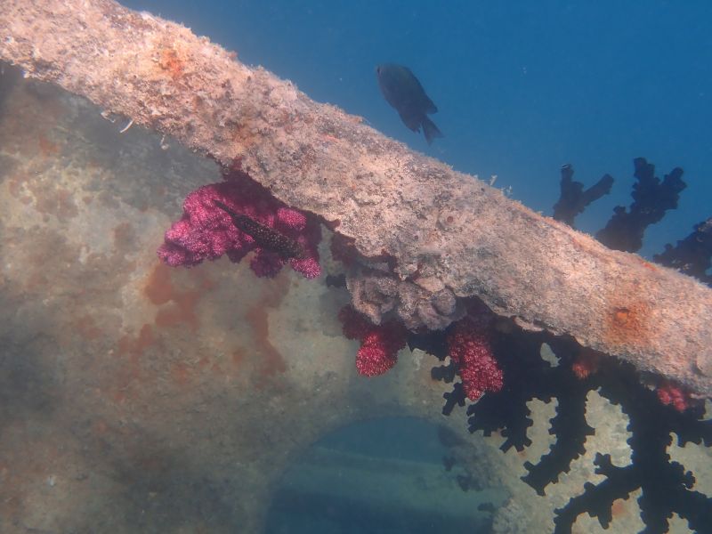 Viewing photos→2018→2018-09-09→16