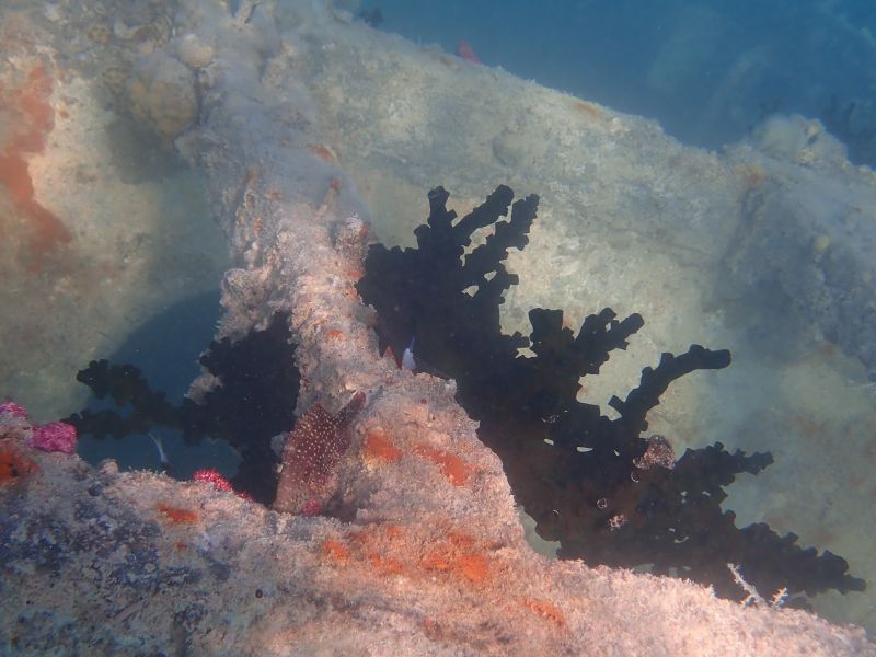 Viewing photos→2018→2018-09-09→17