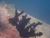 18.jpg - 2018:09:09 01:57:00