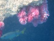 19.jpg - 2018:09:09 01:58:13