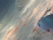 20.jpg - 2018:09:09 01:58:29