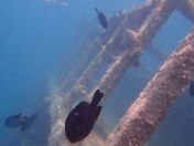 21.jpg - 2018:09:09 01:59:05