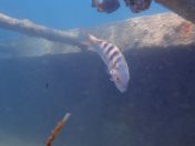 22.jpg - 2018:09:09 01:59:11