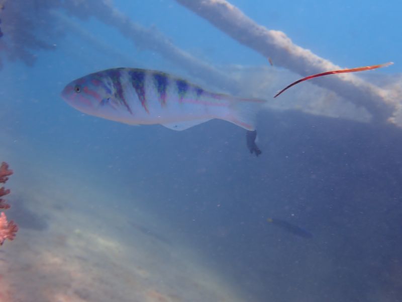 Viewing photos→2018→2018-09-09→23