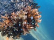 24.jpg - 2018:09:09 01:59:14