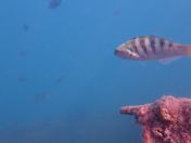 25.jpg - 2018:09:09 01:59:17