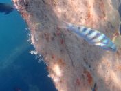 26.jpg - 2018:09:09 01:59:20