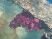 27.jpg - 2018:09:09 01:59:58