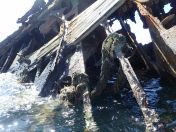 30.jpg - 2018:09:09 02:02:55