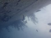 31.jpg - 2018:09:09 02:04:38