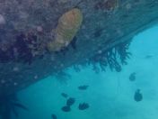 32.jpg - 2018:09:09 02:05:00