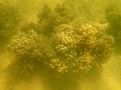 39.jpg - 2018:09:09 03:08:38