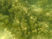 40.jpg - 2018:09:09 03:09:06