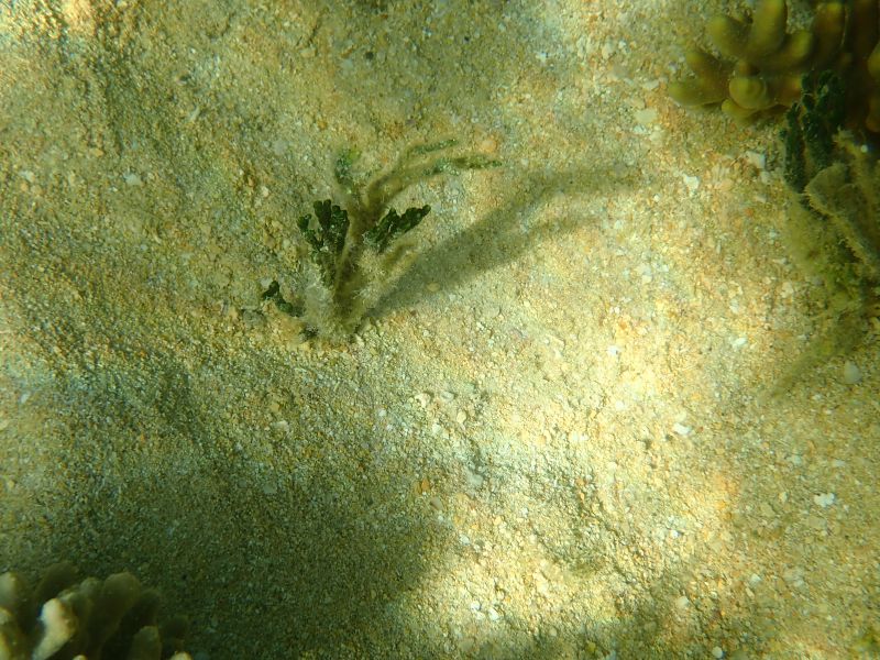 Viewing photos→2018→2018-09-09→41