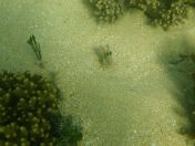 42.jpg - 2018:09:09 03:09:39