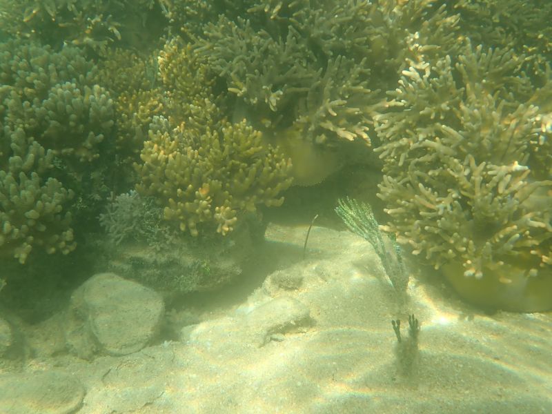 Viewing photos→2018→2018-09-09→43