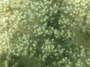 44.jpg - 2018:09:09 03:09:55