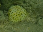 45.jpg - 2018:09:09 03:10:16