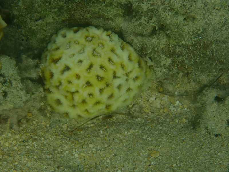 Viewing photos→2018→2018-09-09→45