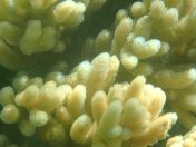 46.jpg - 2018:09:09 03:11:29