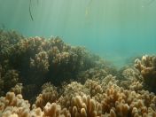 47.jpg - 2018:09:09 03:11:36